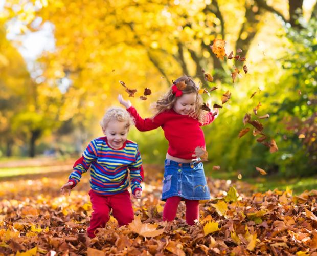 TCM bei Erkrankungen des Bewegungsapparats  2