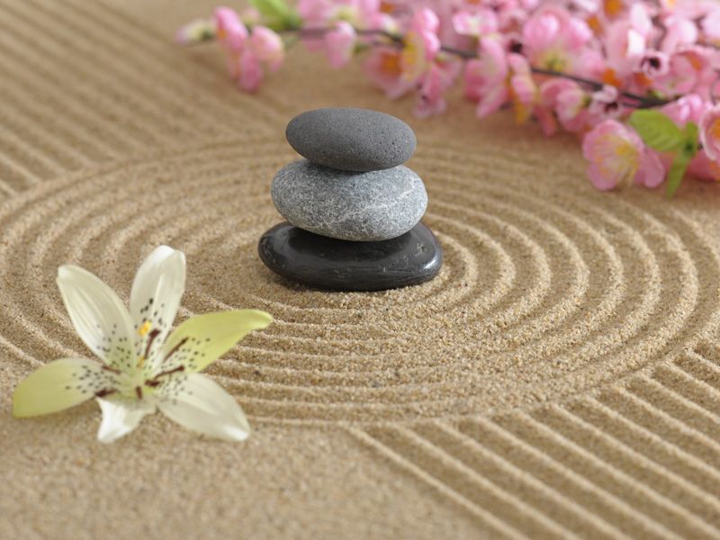 SinoQi TCM Zürich - Über uns